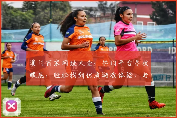 澳门百家网址大全，热门平台尽收眼底，轻松找到优质游戏体验，赶快加入