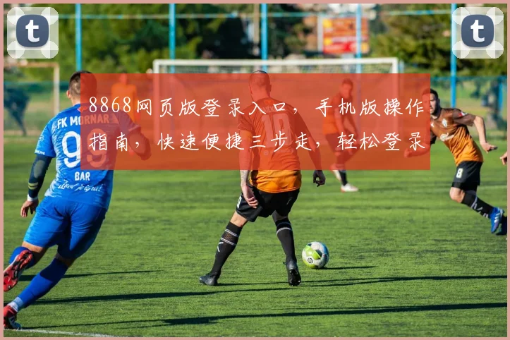 8868网页版登录入口，手机版操作指南，快速便捷三步走，轻松登录体验