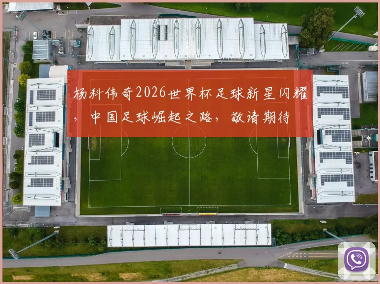 杨科伟奇2026世界杯足球新星闪耀，中国足球崛起之路，敬请期待
