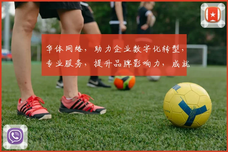 华体网络，助力企业数字化转型，专业服务，提升品牌影响力，成就行业先锋