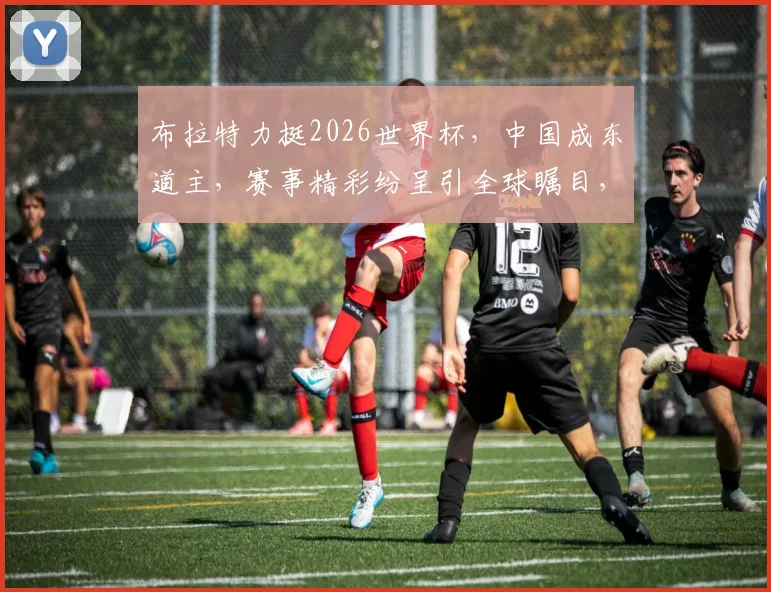 布拉特力挺2026世界杯，中国成东道主，赛事精彩纷呈引全球瞩目，不容错过